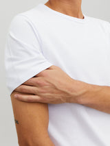 T-Shirt Scollo 12058529