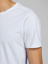 T-Shirt Scollo 12058529