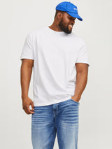 JJEBRADLEY TEE SS NOOS 12250623