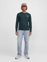 JJJADE TEE LS CREW NECK BF 12298437