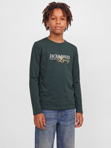 JJJADE TEE LS CREW NECK BF 12298437