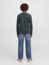 JJJADE TEE LS CREW NECK BF 12298437
