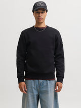 JJCLEVELAND SWEAT CREW NECK LN 12298440