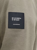 JJCLEVELAND SWEAT CREW NECK LN 12298440