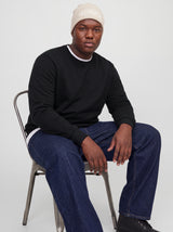 JJCLEVELAND SWEAT CREW NECK PLS 12299762