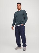 JJCLEVELAND SWEAT CREW NECK PLS 12299762