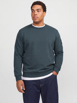 JJCLEVELAND SWEAT CREW NECK PLS 12299762