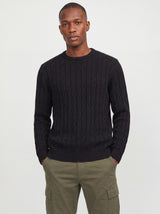 JREBLUCA KNIT CREW NECK 12304716