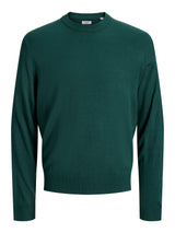 JREBBIRCH KNIT CREW NECK 12304732