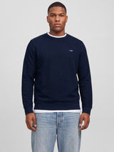 JPRBLUALVES STRUCTURE SWEAT CREWNECK PLS 12303454