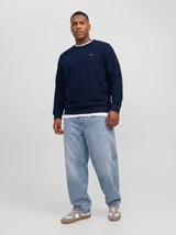 JPRBLUALVES STRUCTURE SWEAT CREWNECK PLS 12303454