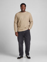 JPRBLUALVES STRUCTURE SWEAT CREWNECK PLS 12303454