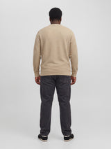 JPRBLUALVES STRUCTURE SWEAT CREWNECK PLS 12303454