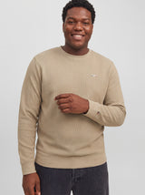 JPRBLUALVES STRUCTURE SWEAT CREWNECK PLS 12303454