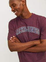 JJECALEB VARSITY TEE SS O-NECK NOOS 12257579