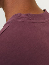 JJECALEB VARSITY TEE SS O-NECK NOOS 12257579