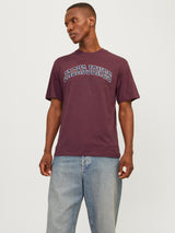 JJECALEB VARSITY TEE SS O-NECK NOOS 12257579