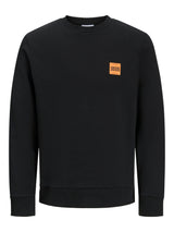 JJBRANDY SWEAT CREW NECK LN 12279256
