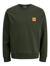 JJBRANDY SWEAT CREW NECK LN 12279256
