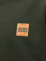 JJBRANDY SWEAT CREW NECK LN 12279256