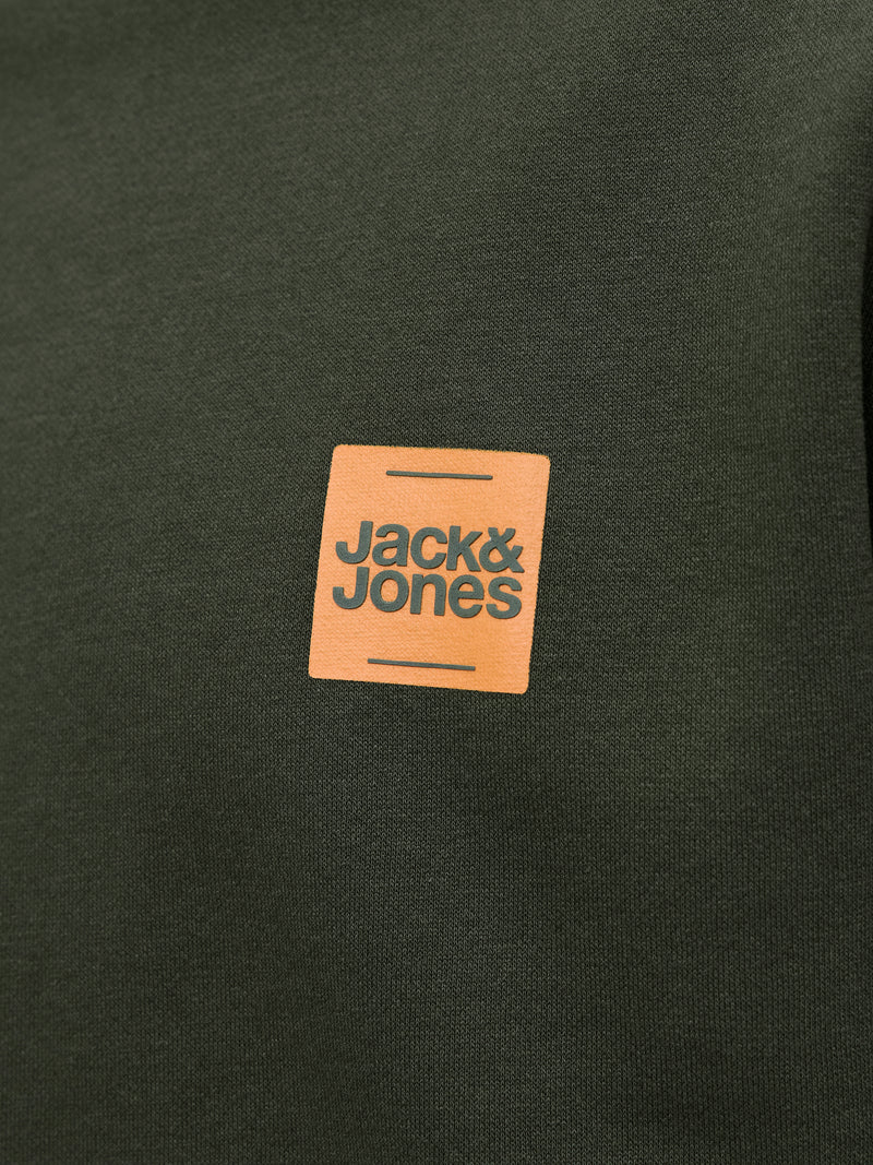 JJBRANDY SWEAT CREW NECK LN 12279256