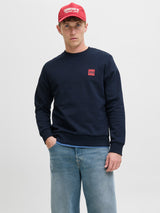 JJBRANDY SWEAT CREW NECK LN 12279256