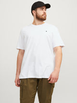 JJEPAULOS TEE SS CREW NECK 12253778 PLS