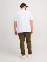 JJEPAULOS TEE SS CREW NECK 12253778 PLS