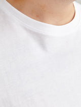 JJEPAULOS TEE SS CREW NECK 12253778 PLS