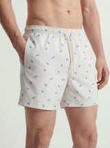 Costume Uomo Mare 12291425