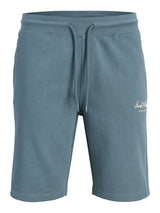 JPSTGORDON ARCHIVE SWEAT SHORTS MID SN 12288638