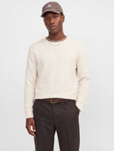 JPRBLURILEY KNIT CREW NECK LS SN 12295909