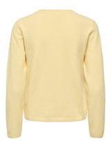 ONLY CARDIGAN DONNA 15368959