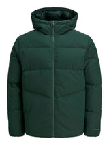 Giubbotto Uomo Con Cappuccio Moda 12283517 - GIUBBOTTO UOMO