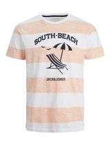 JJSUMMER STRIPE TEE SS CREW NECK JNR 12224222 -