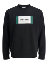 JJHAYATO SWEAT CREW NECK BTS LN 12278616 - MAGLIERIA &