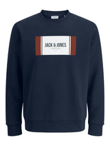 JJHAYATO SWEAT CREW NECK BTS LN 12278616 - MAGLIERIA &